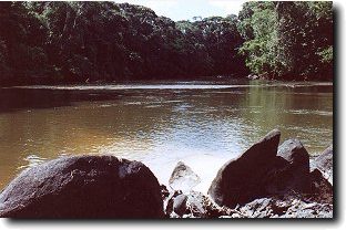Biotope naturel